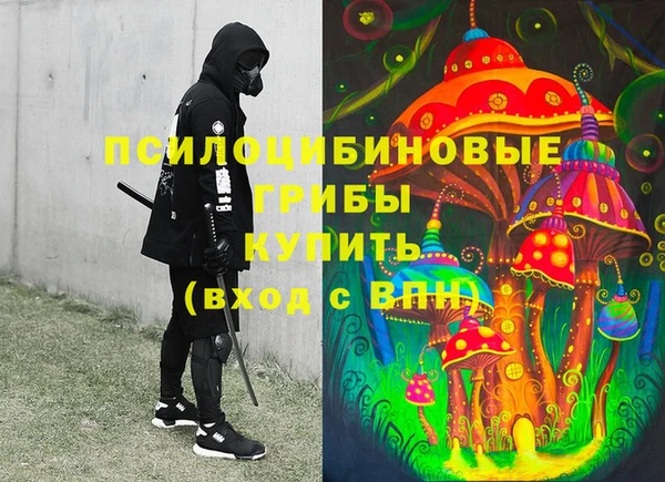 ешки Тольятти