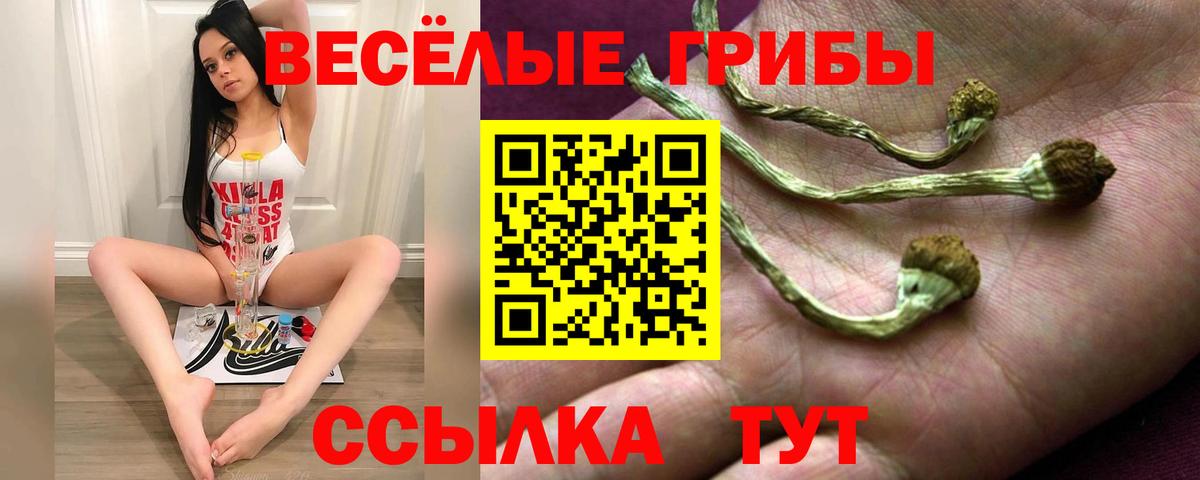 Галлюциногенные грибы GOLDEN TEACHER Грозный
