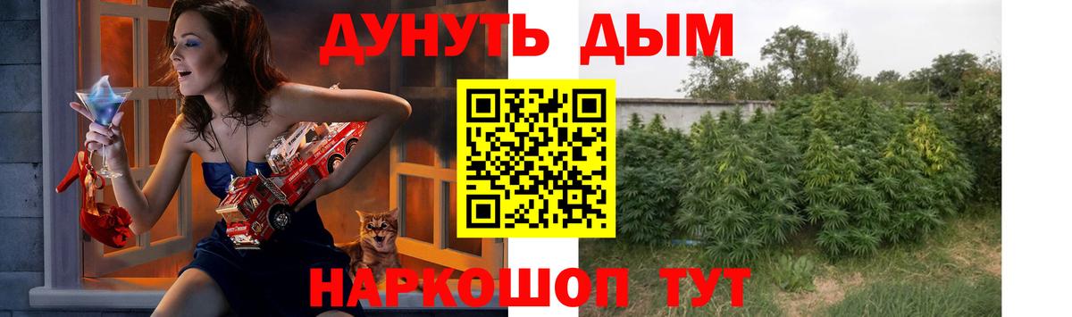 Канабис семена Грозный